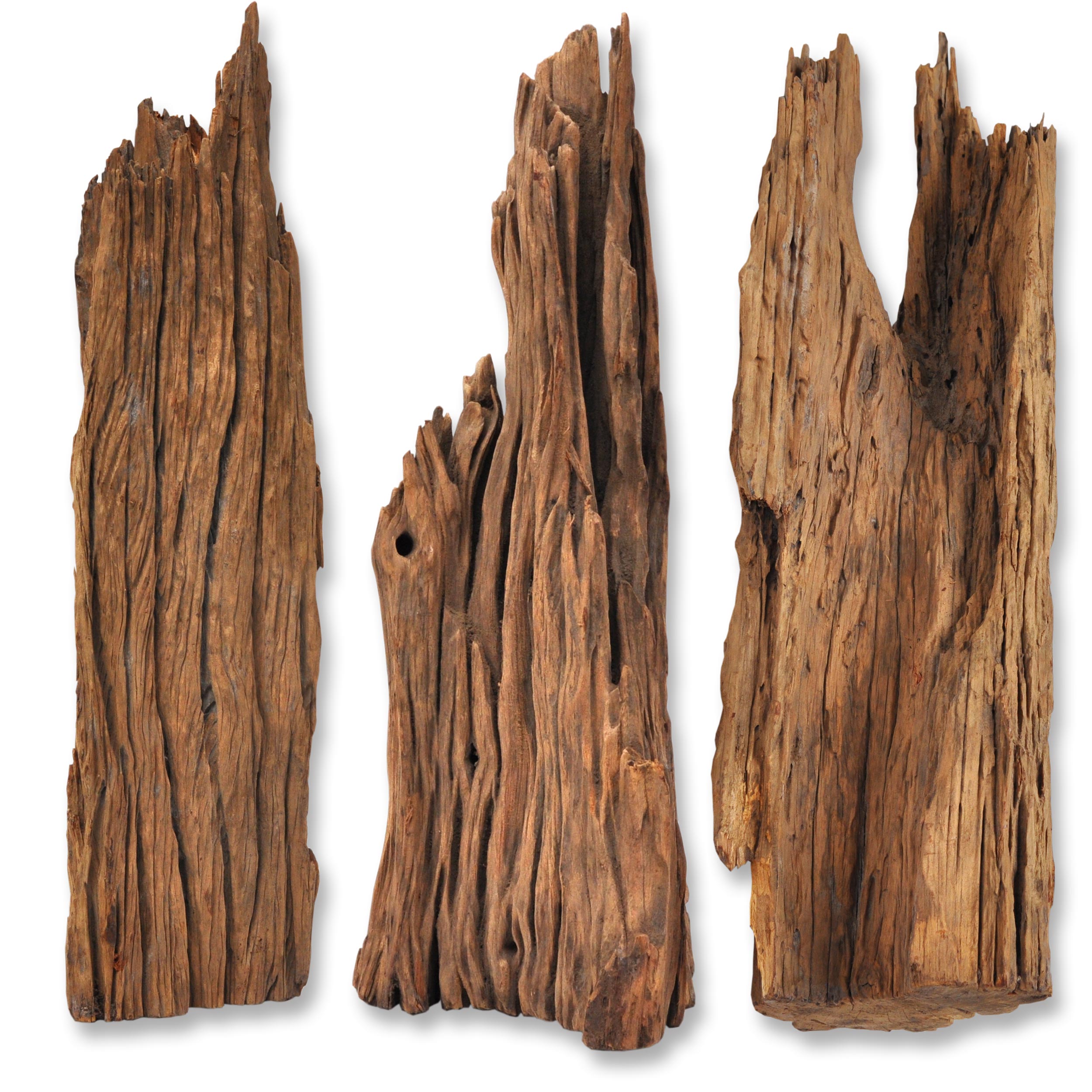 Holzwurzeln versch. Größen von 30 bis 120 cm Treibholz Für: Terrarium, Aquarium, Garten, Floristik