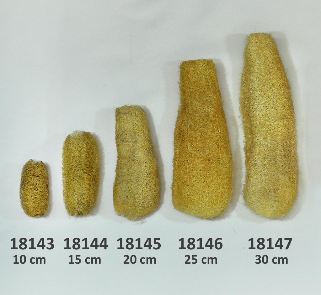 18143_bis_18147 Luffa Schwamm, naturbelassen