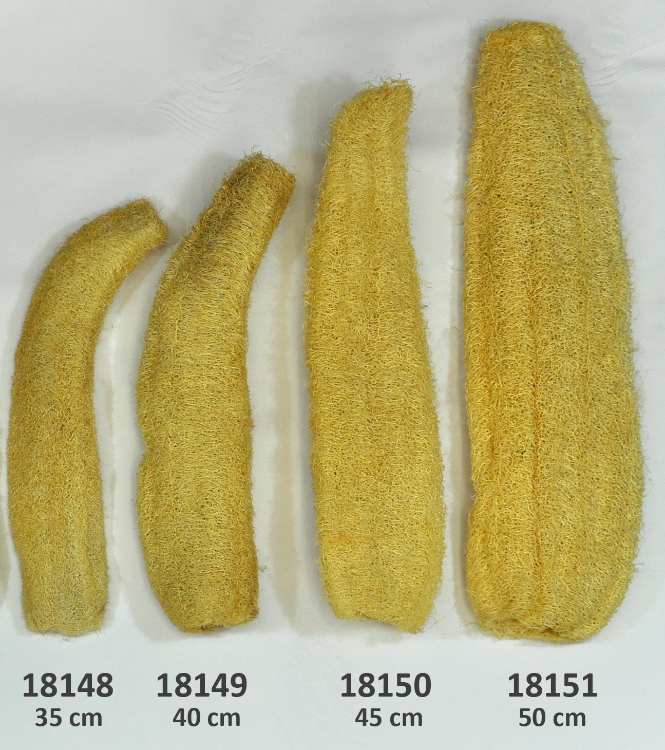 18148_bis_18151 Luffa Schwamm, naturbelassen