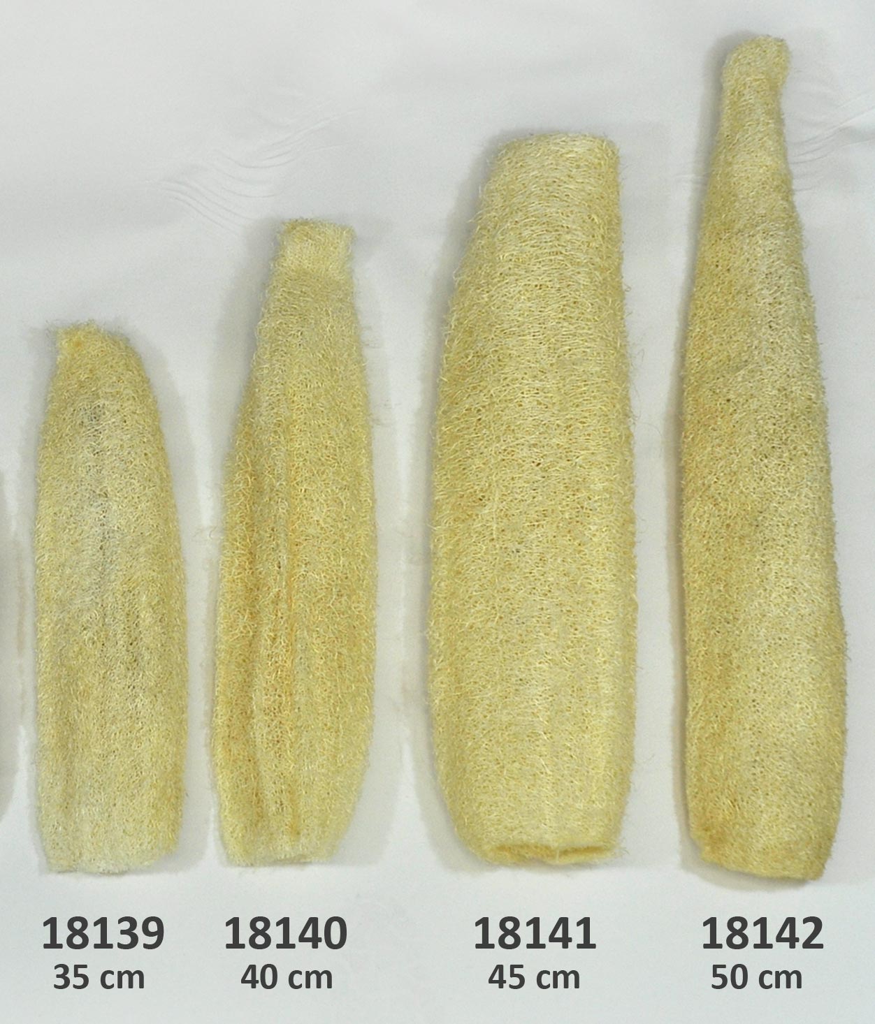18139_bis_18142 Luffa Schwamm, gebleicht