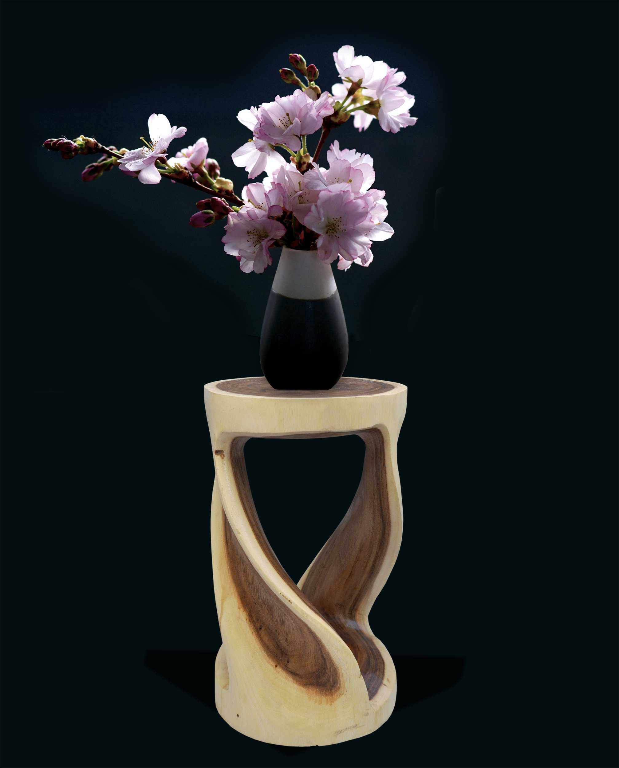 13405_1dWlU0gqjfRTmXL