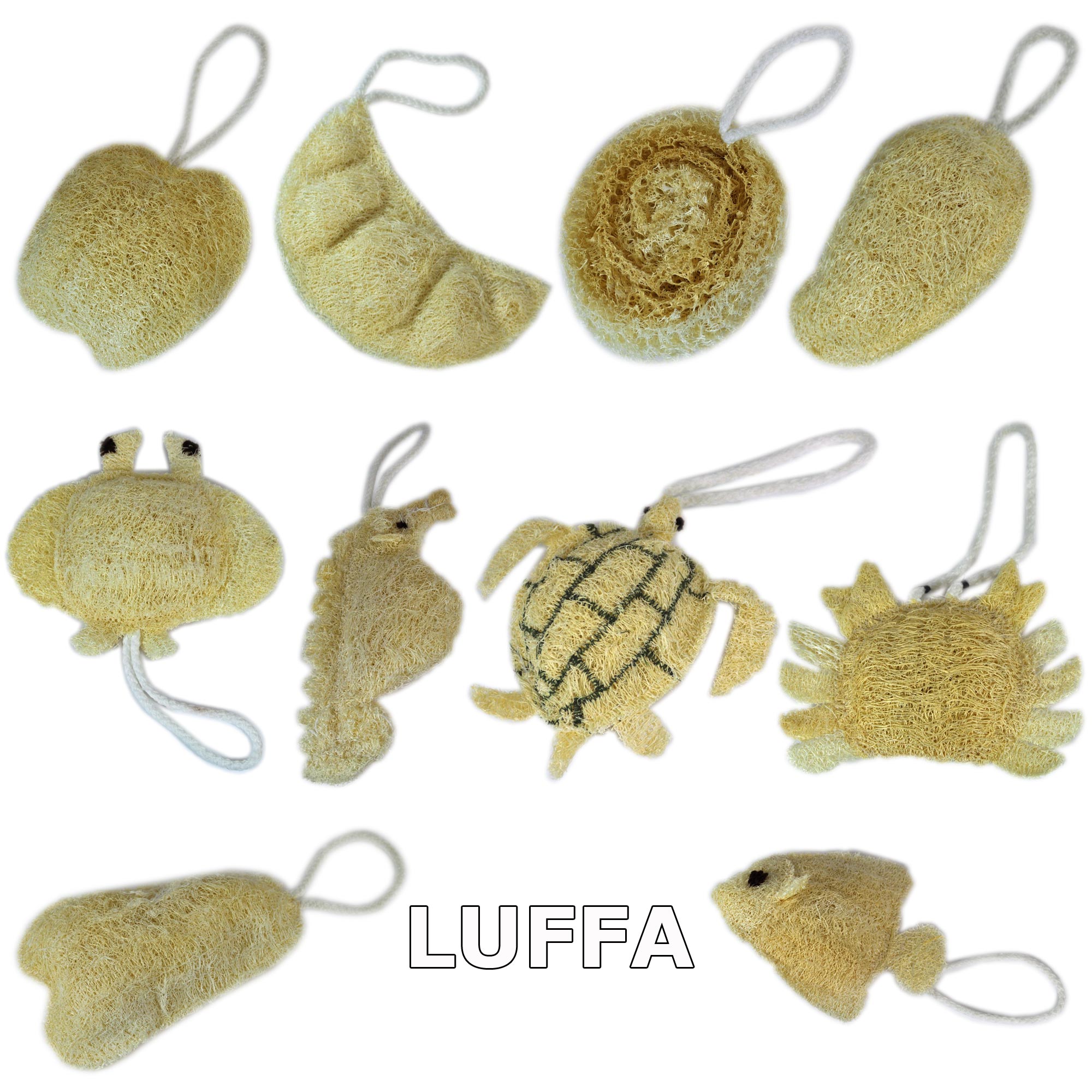 luffa_schwamm_galerie