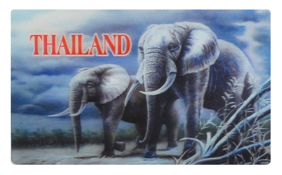 14030_1a Flachmagnet Elefant mit 3D-Effekt 9x5,5 cm- Motiv 14030