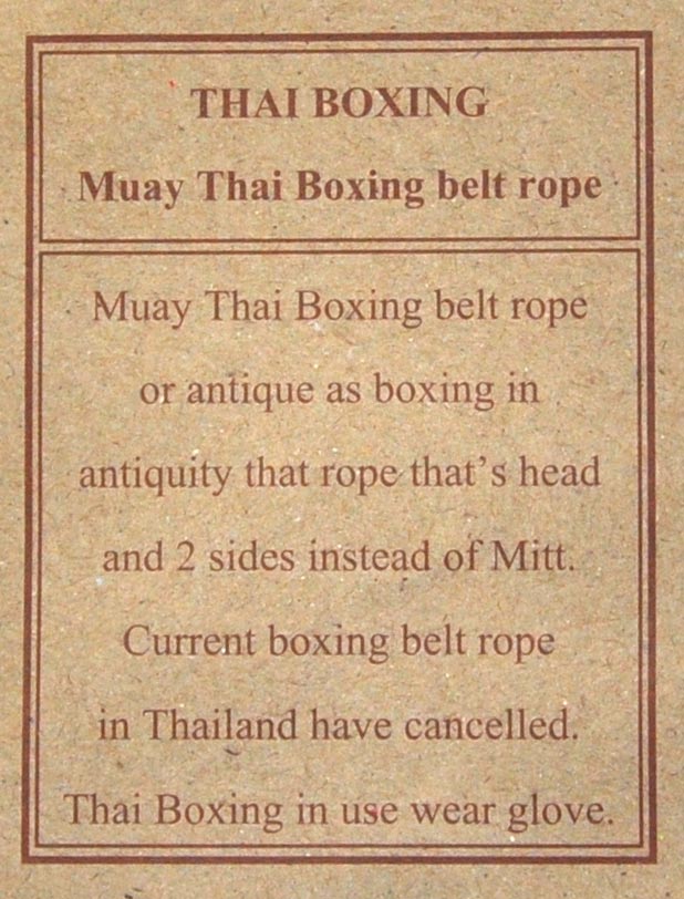 14011_1e Magnet Kampfsport Thaiboxen Kickboxen - Motiv 14011