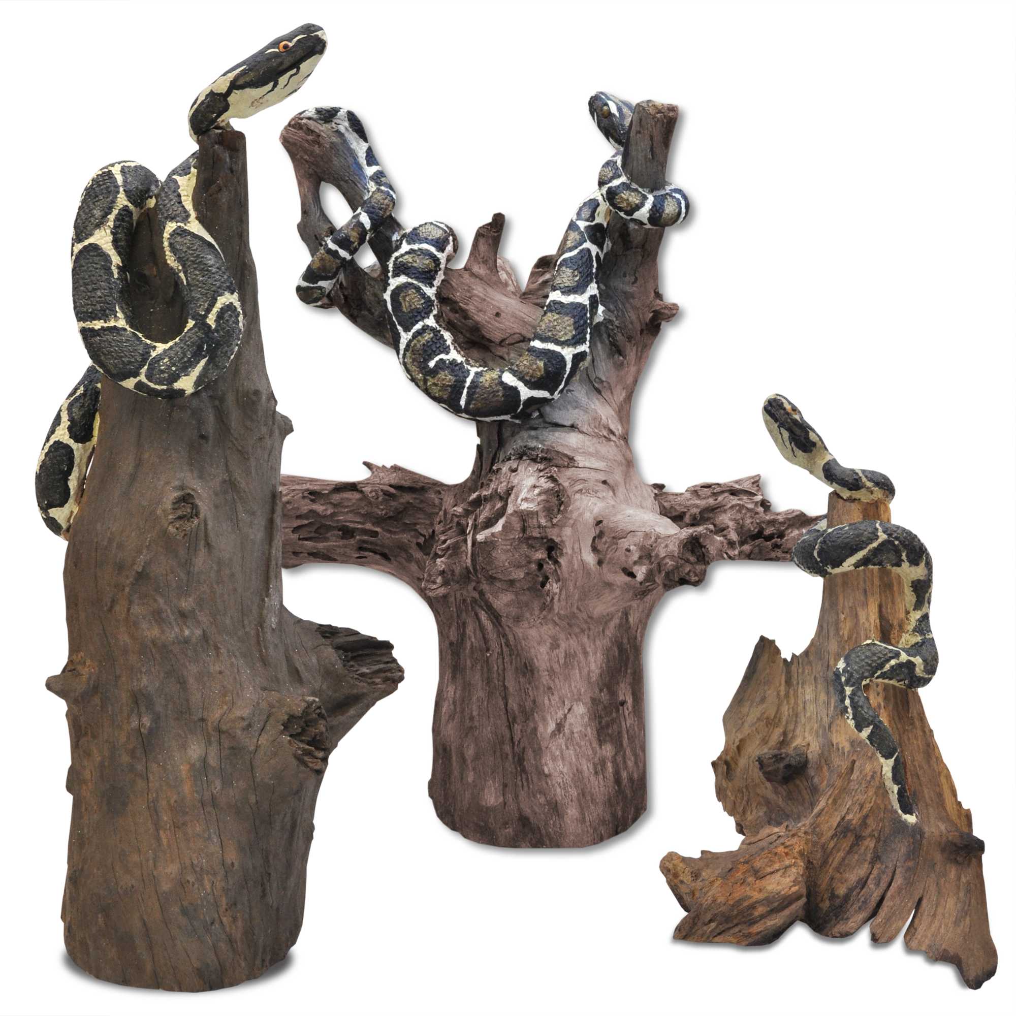 14223_14224_galerie2