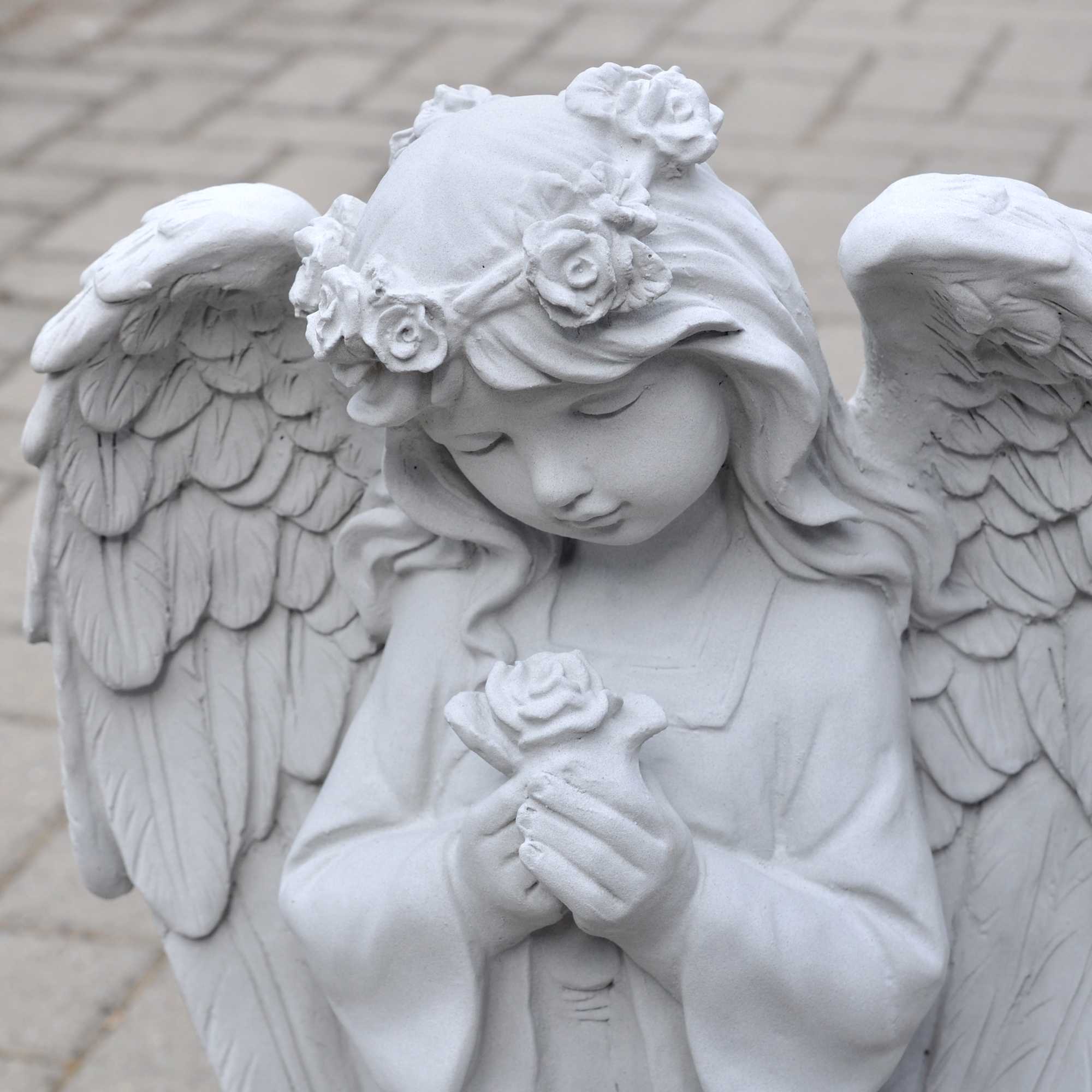 10283_1aGIVqRuq2f7JF8