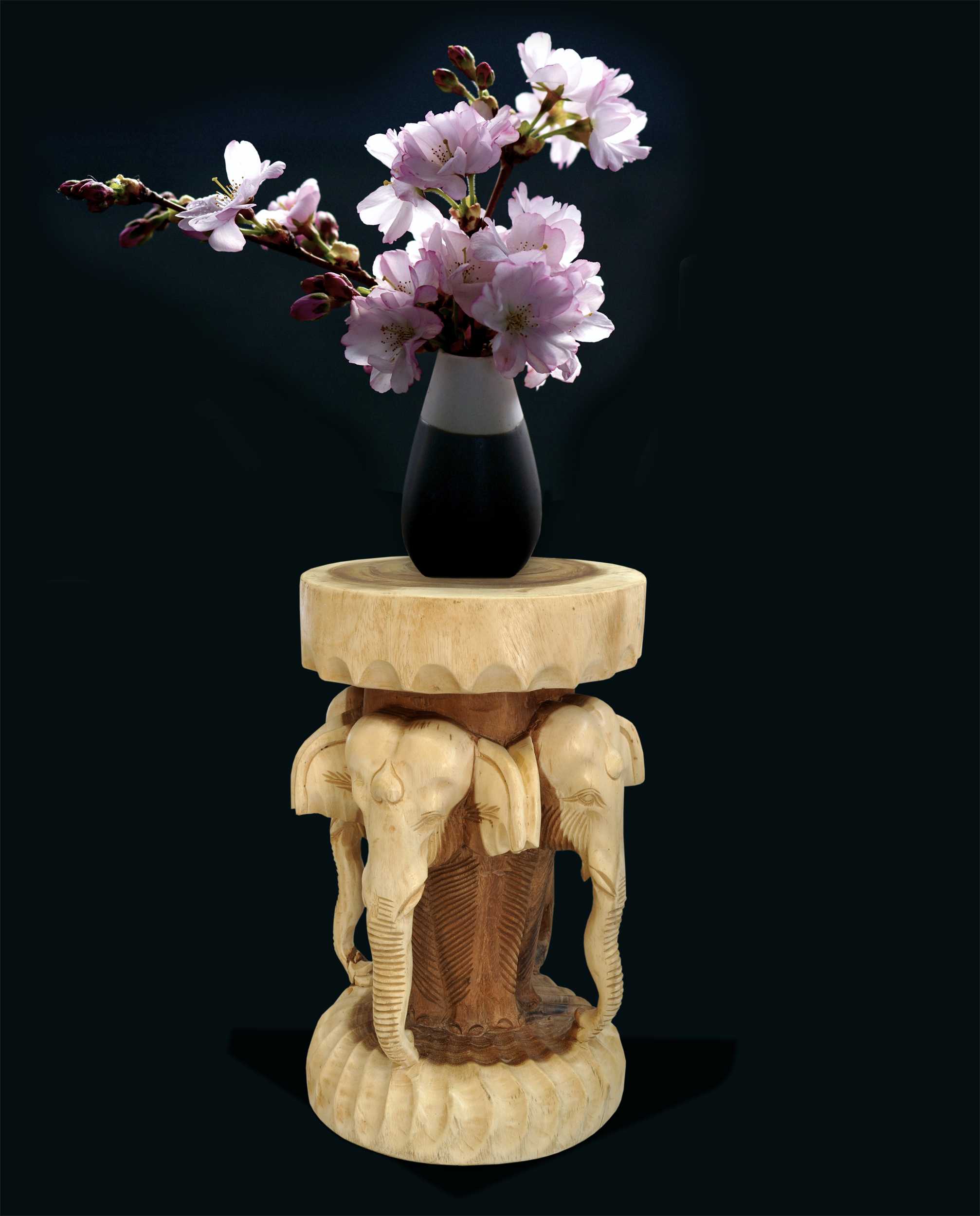 13402_1dSSSd97B9MYBz4